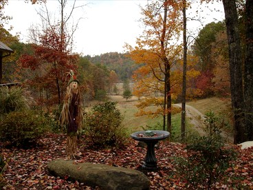 Rustic Cabin on a Woodland Farm in Tellico Plains, Tennessee - Tellico Plains, Tennessee - glamping.directory