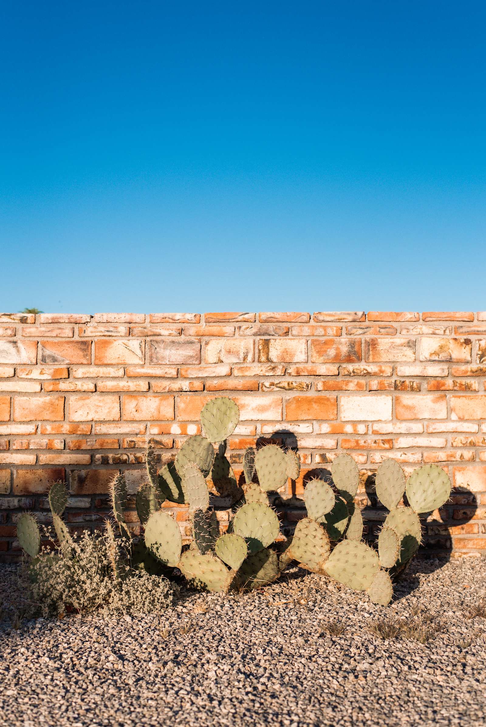 RV site parallels Golf Course - Yuma, Arizona - glamping.directory