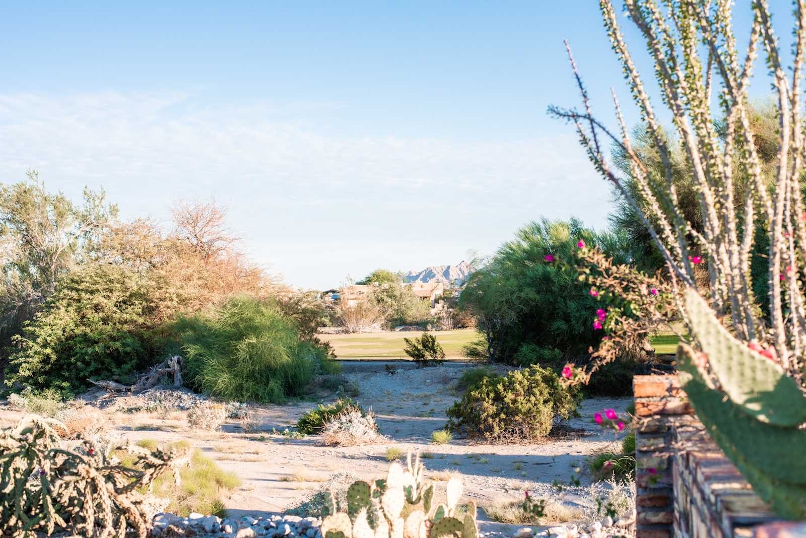 RV site parallels Golf Course - Yuma, Arizona - glamping.directory