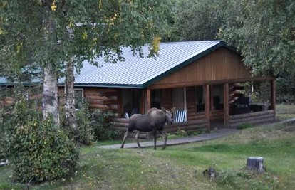 Lakeside Cabin Rental for an Adventure Getaway on Daniel’s Lake, Alaska - glamping.directory