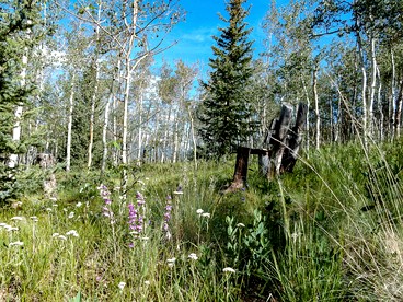 Charming Vacation Rental in the Heart of South Park near Fairplay, Colorado - Jefferson, Colorado - glamping.directory
