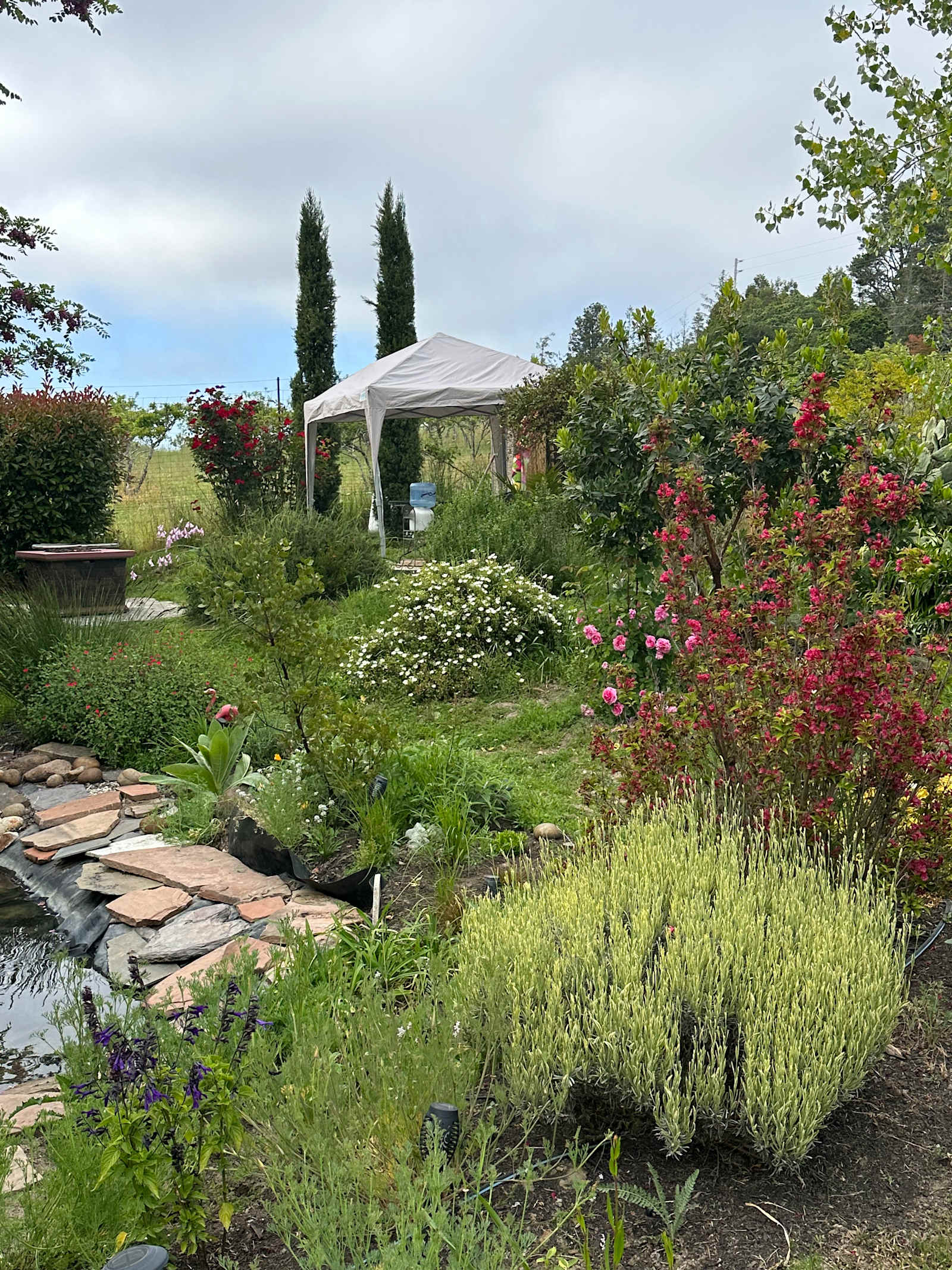 Celebration Retreat - Occidental, California - glamping.directory