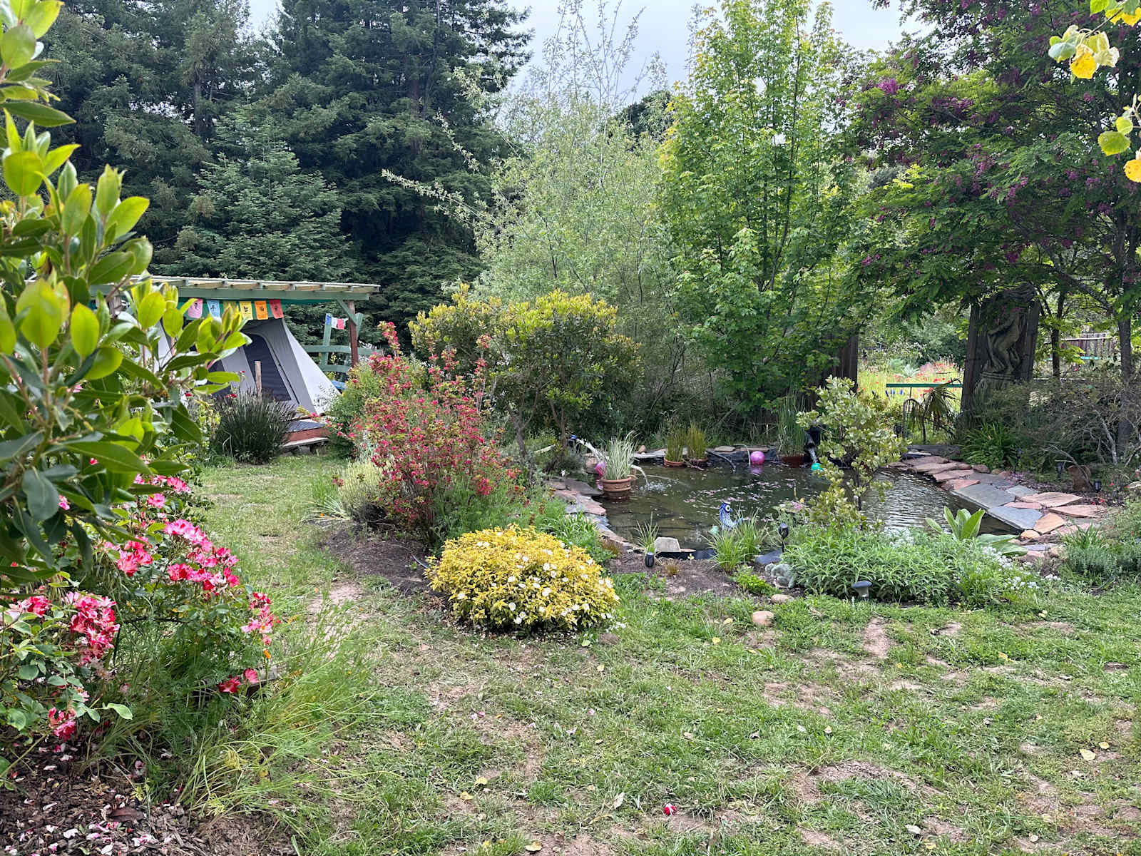Celebration Retreat - Occidental, California - glamping.directory