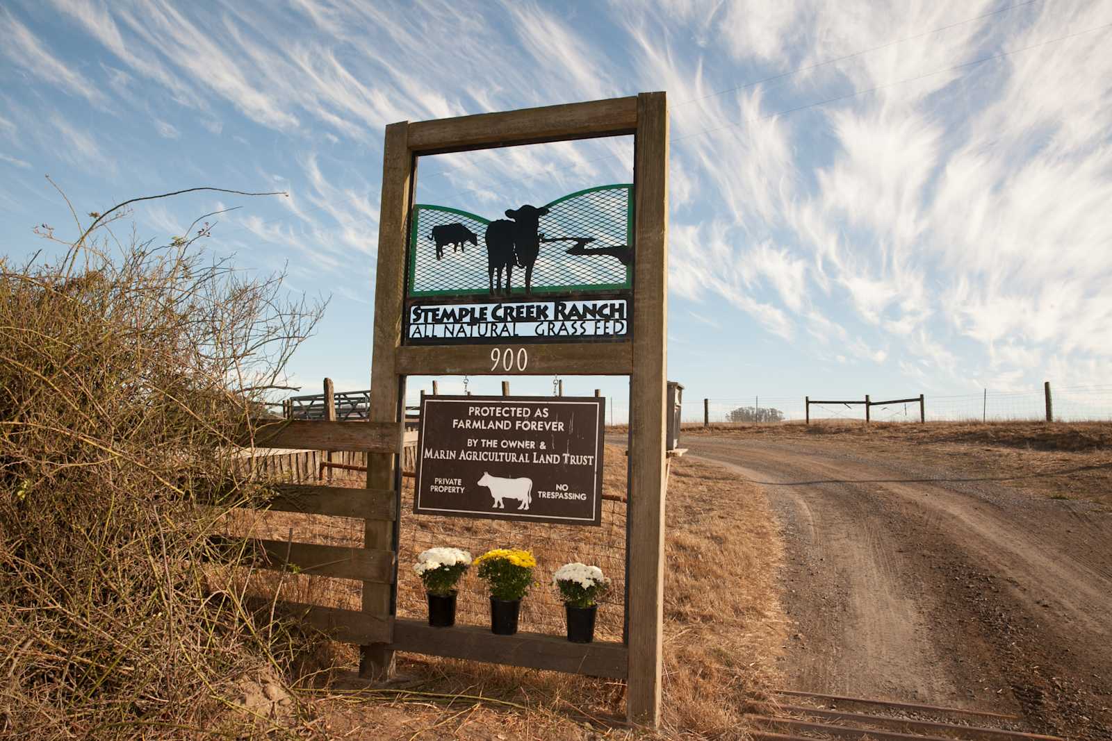 Stemple Creek Ranch - Tomales, California - glamping.directory