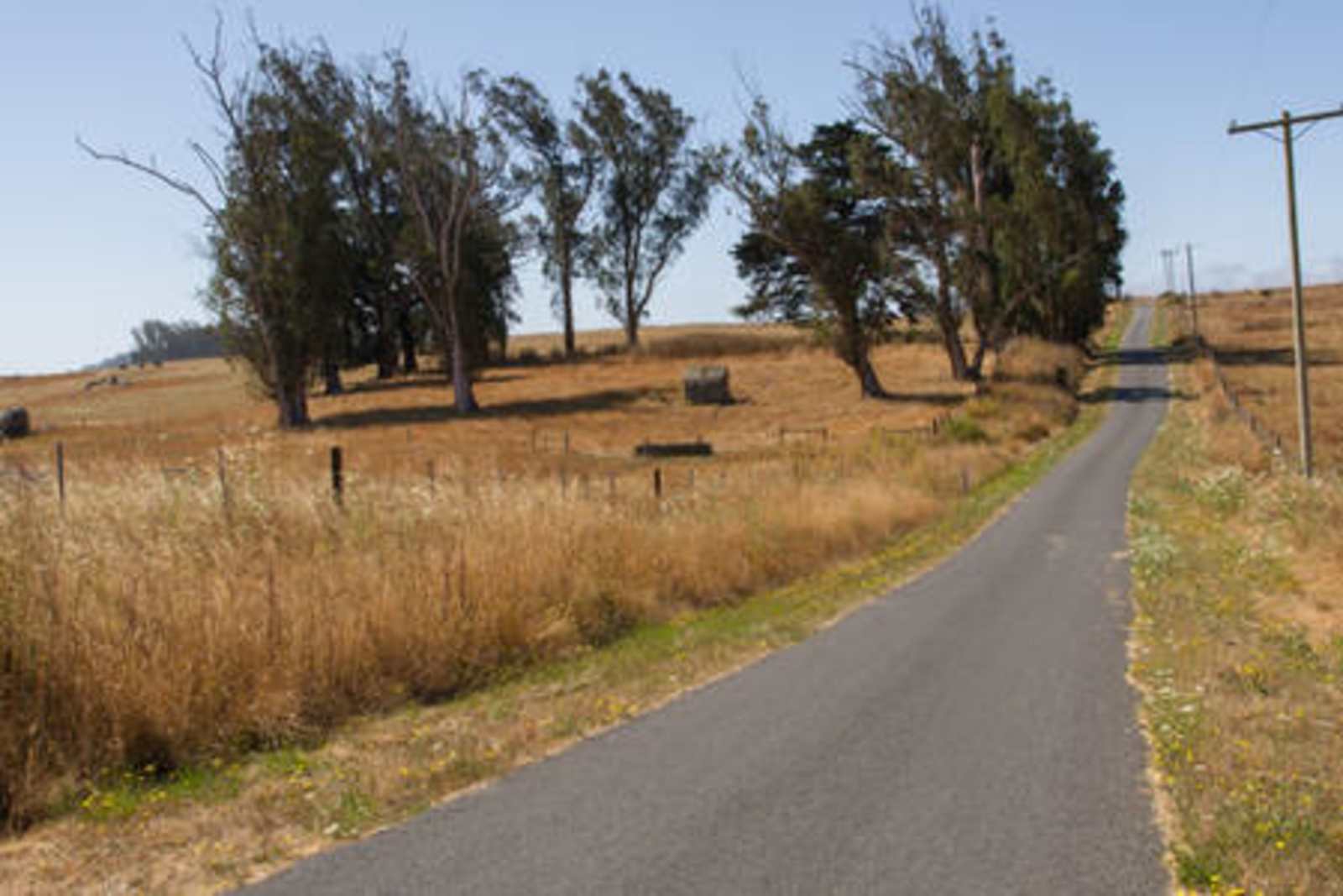Stemple Creek Ranch - Tomales, California - glamping.directory