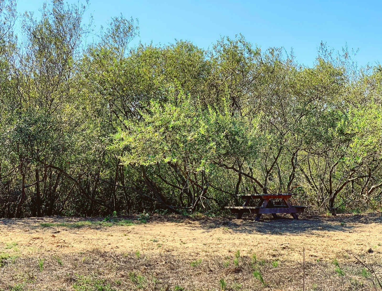Stemple Creek Ranch - Tomales, California - glamping.directory