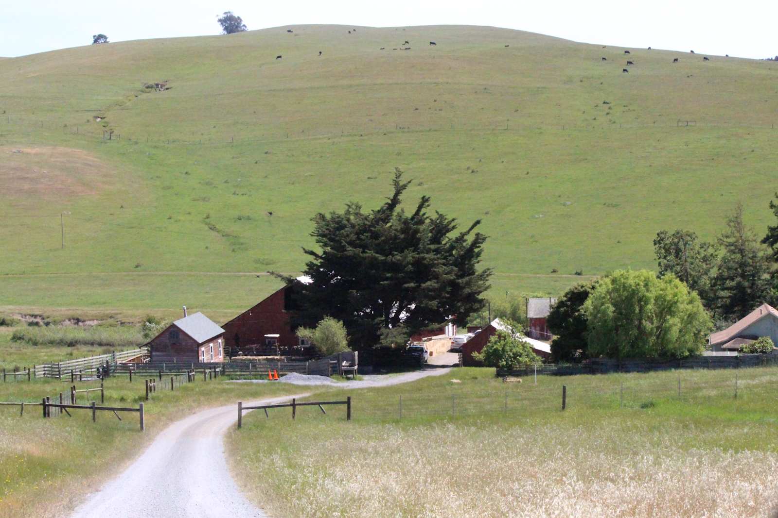 Stemple Creek Ranch - Tomales, California - glamping.directory