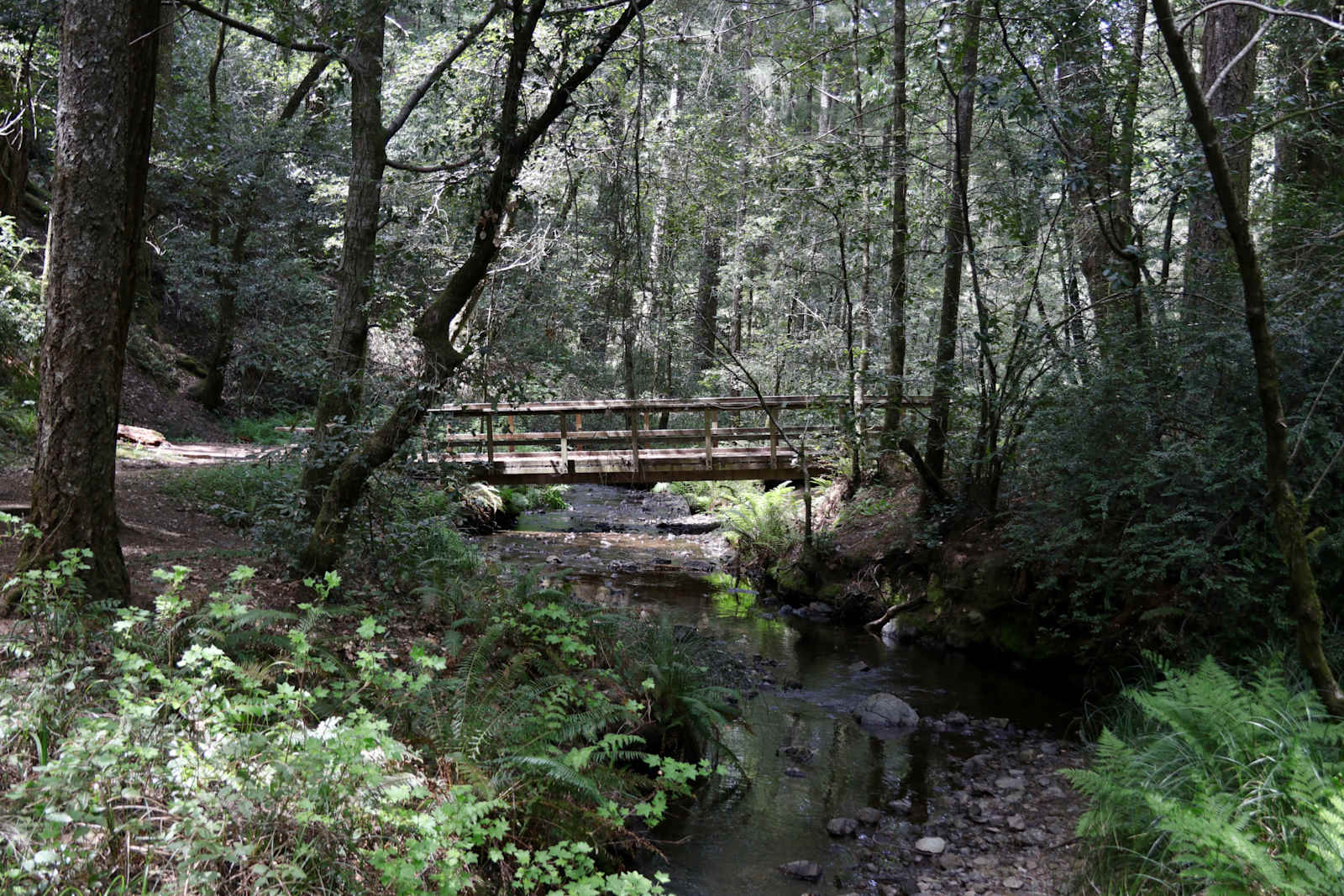 Chemise Mountain Retreat - California - glamping.directory