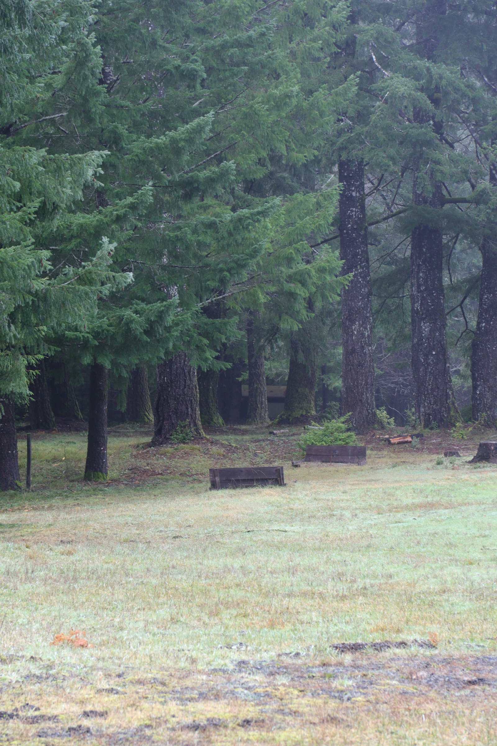 Chemise Mountain Retreat - California - glamping.directory