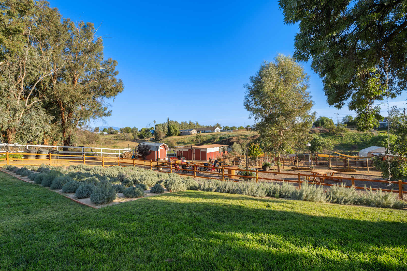 SoCal Double D Farm - Calimesa, California - glamping.directory
