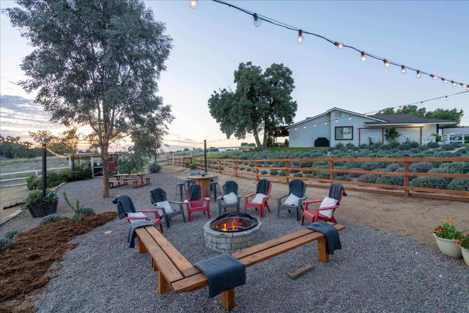 SoCal Double D Farm - Calimesa, California - glamping.directory