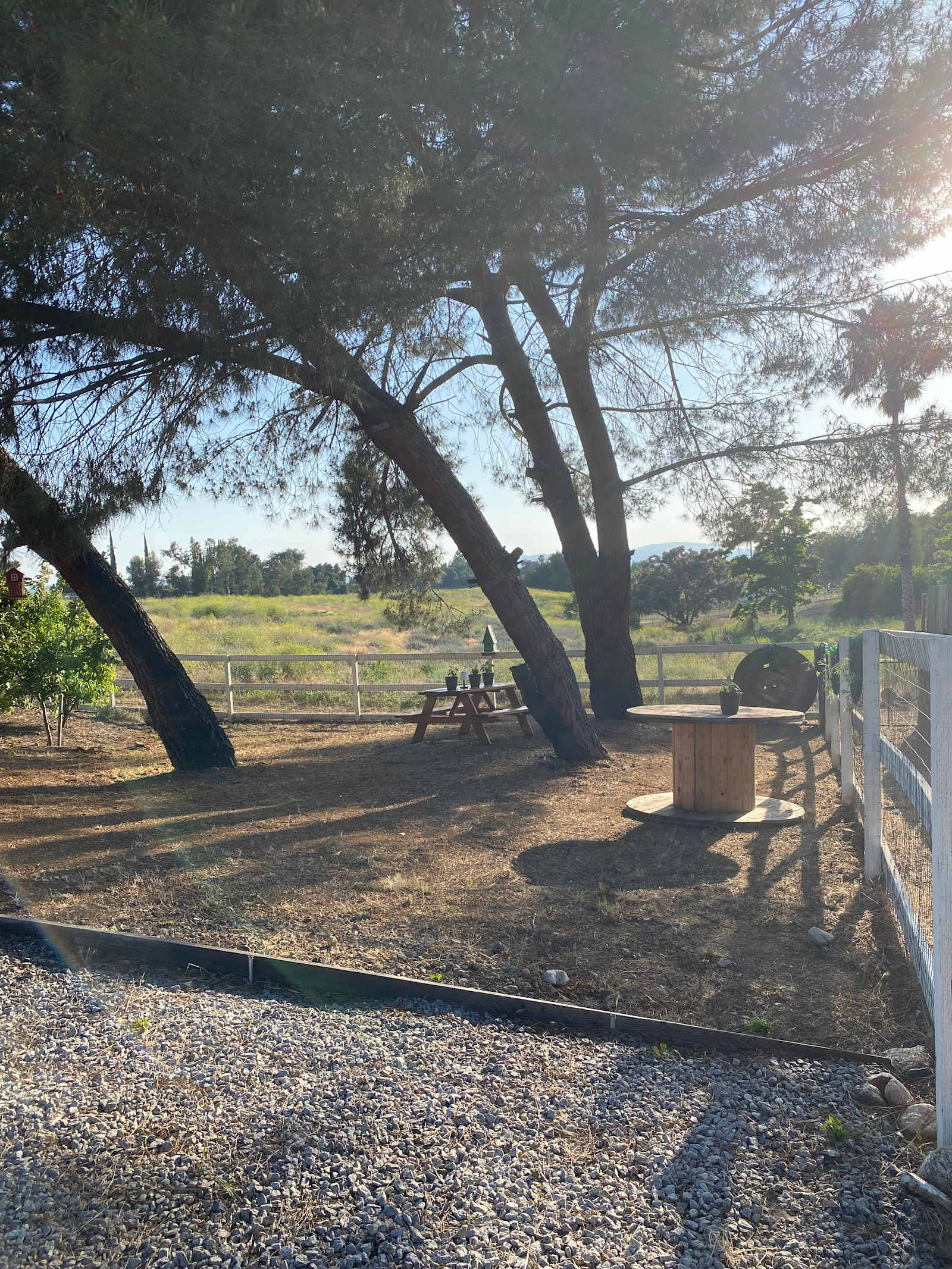 SoCal Double D Farm - Calimesa, California - glamping.directory