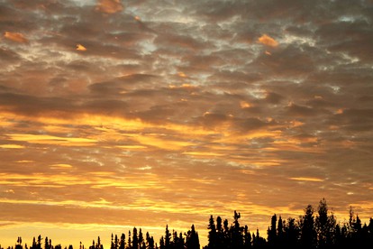 Cozy Family-Friendly Log Cabin for a Fishing Getaway in Soldotna, Alaska - Soldotna, Alaska - glamping.directory
