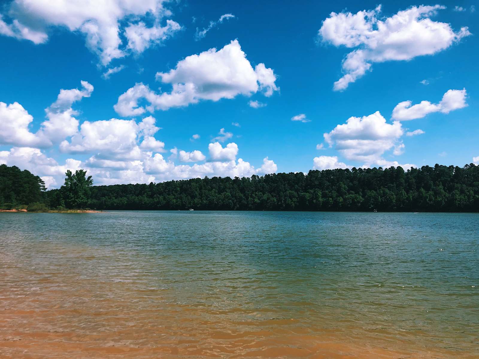 Bluegill Hill - Kirby, Arkansas - glamping.directory
