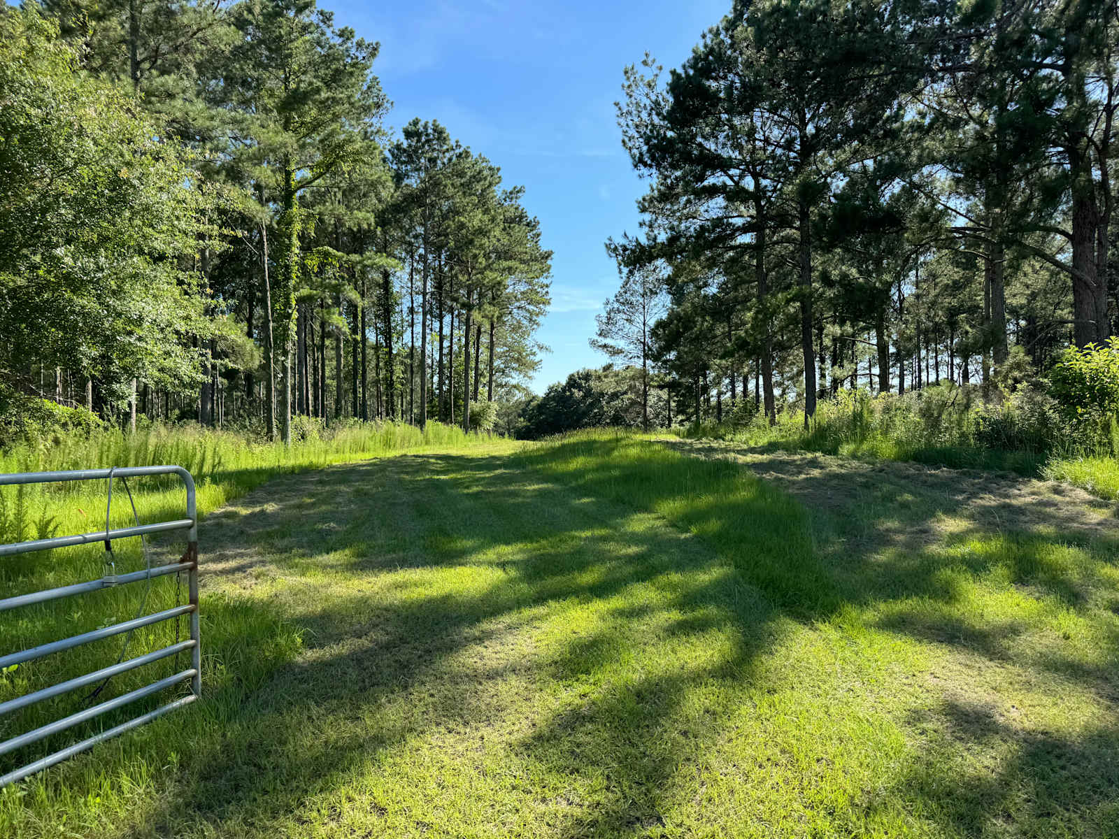Pondview Acres Campground - Brundidge, Alabama - glamping.directory