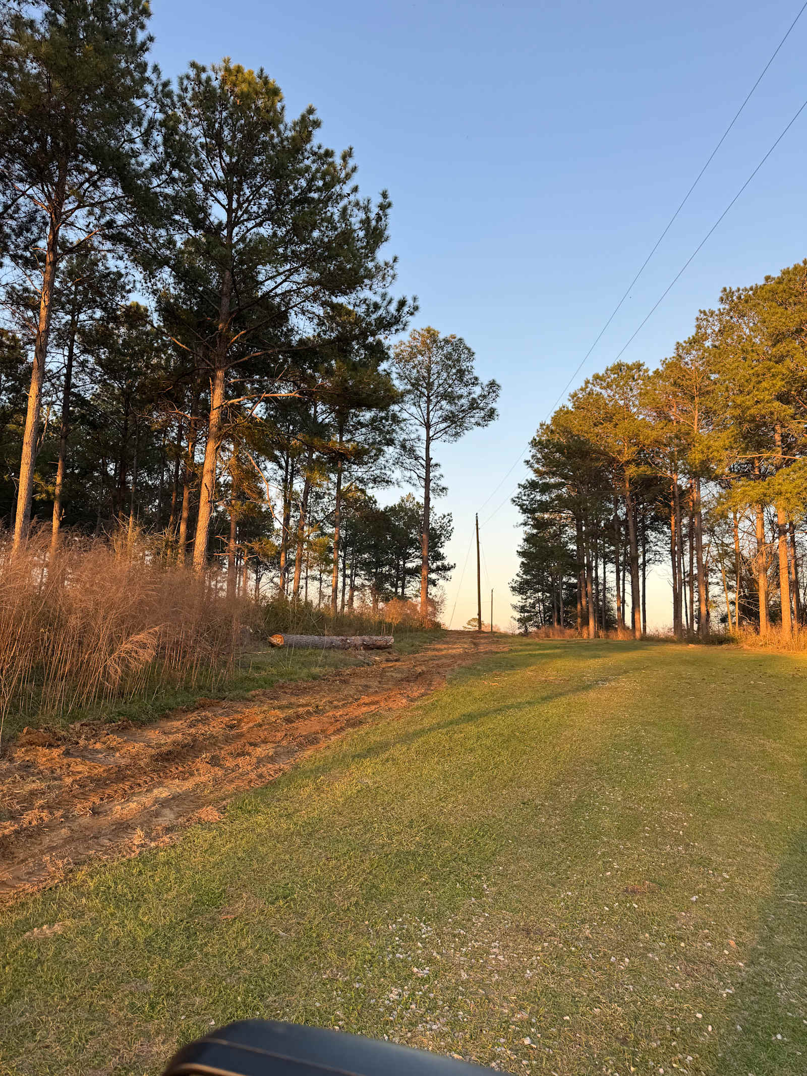 Pondview Acres Campground - Brundidge, Alabama - glamping.directory