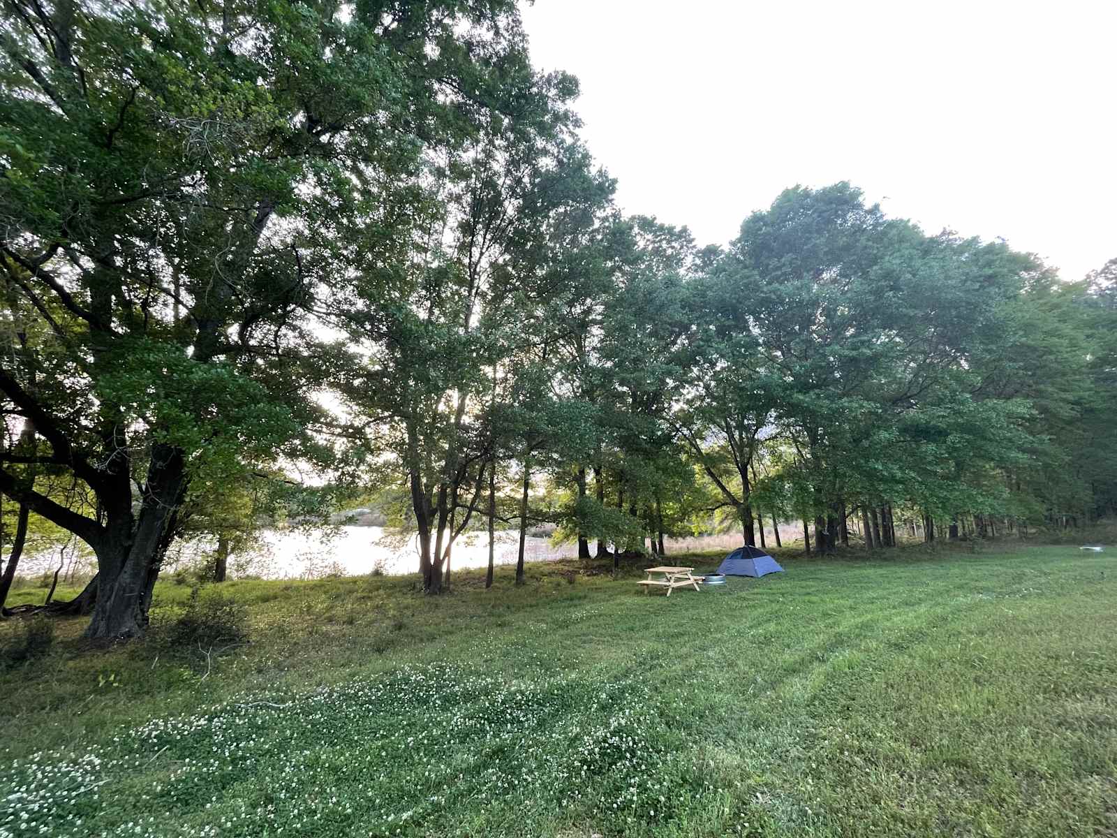 Pondview Acres Campground - Brundidge, Alabama - glamping.directory