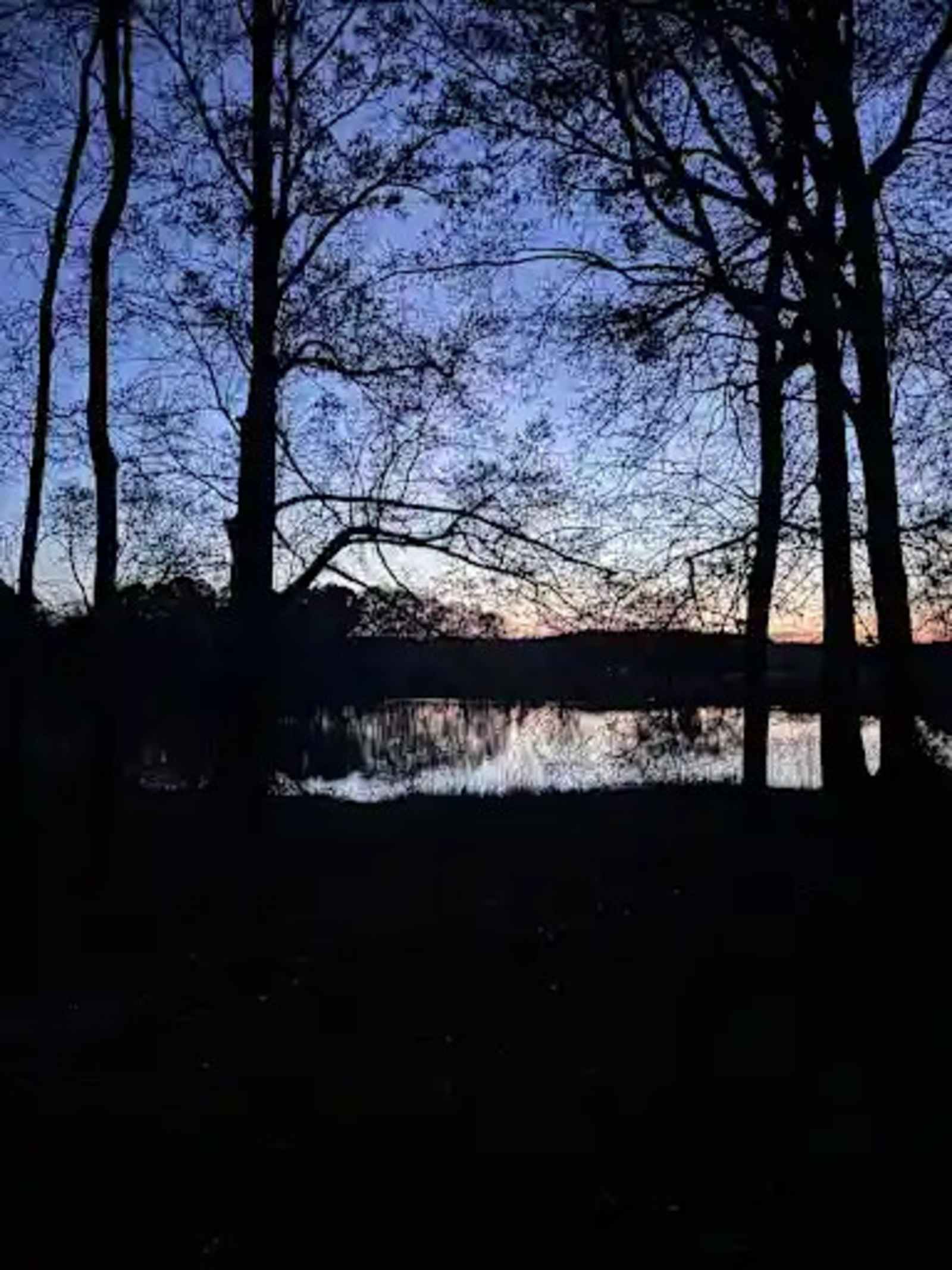 Pondview Acres Campground - glamping.directory