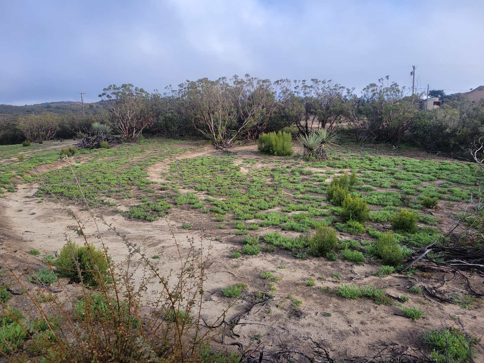 Anzabella - California - glamping.directory