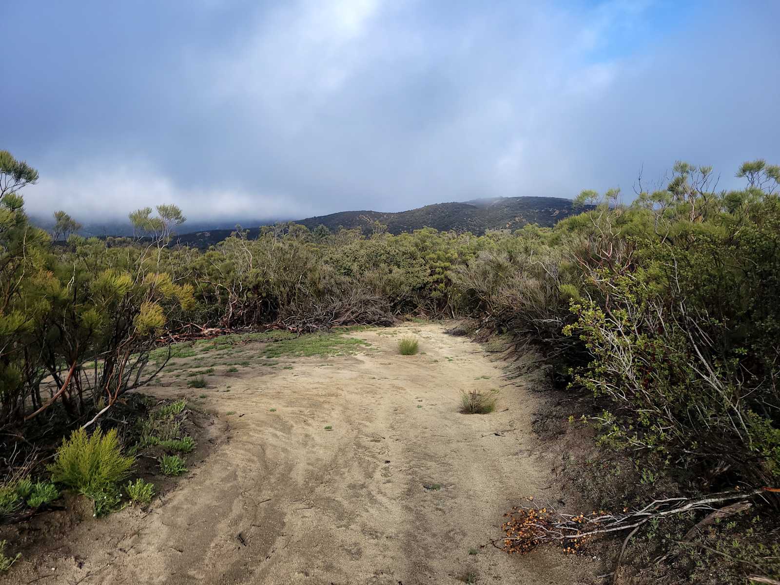 Anzabella - California - glamping.directory