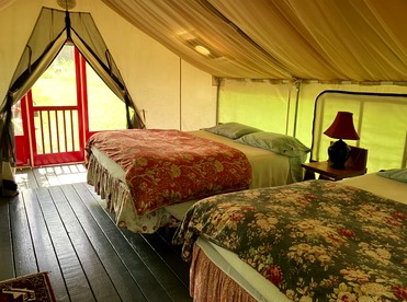 Delightful Guest House Cabin in the Adirondacks - North River, New York - glamping.directory