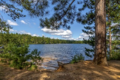 Delightful Guest House Cabin in the Adirondacks - North River, New York - glamping.directory