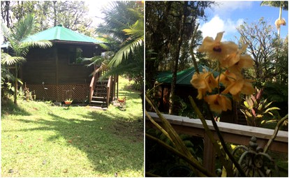 Peaceful Vacation Cabin near Volcanoes National Park, Hawaii - Mountain View, Hawaii - glamping.directory
