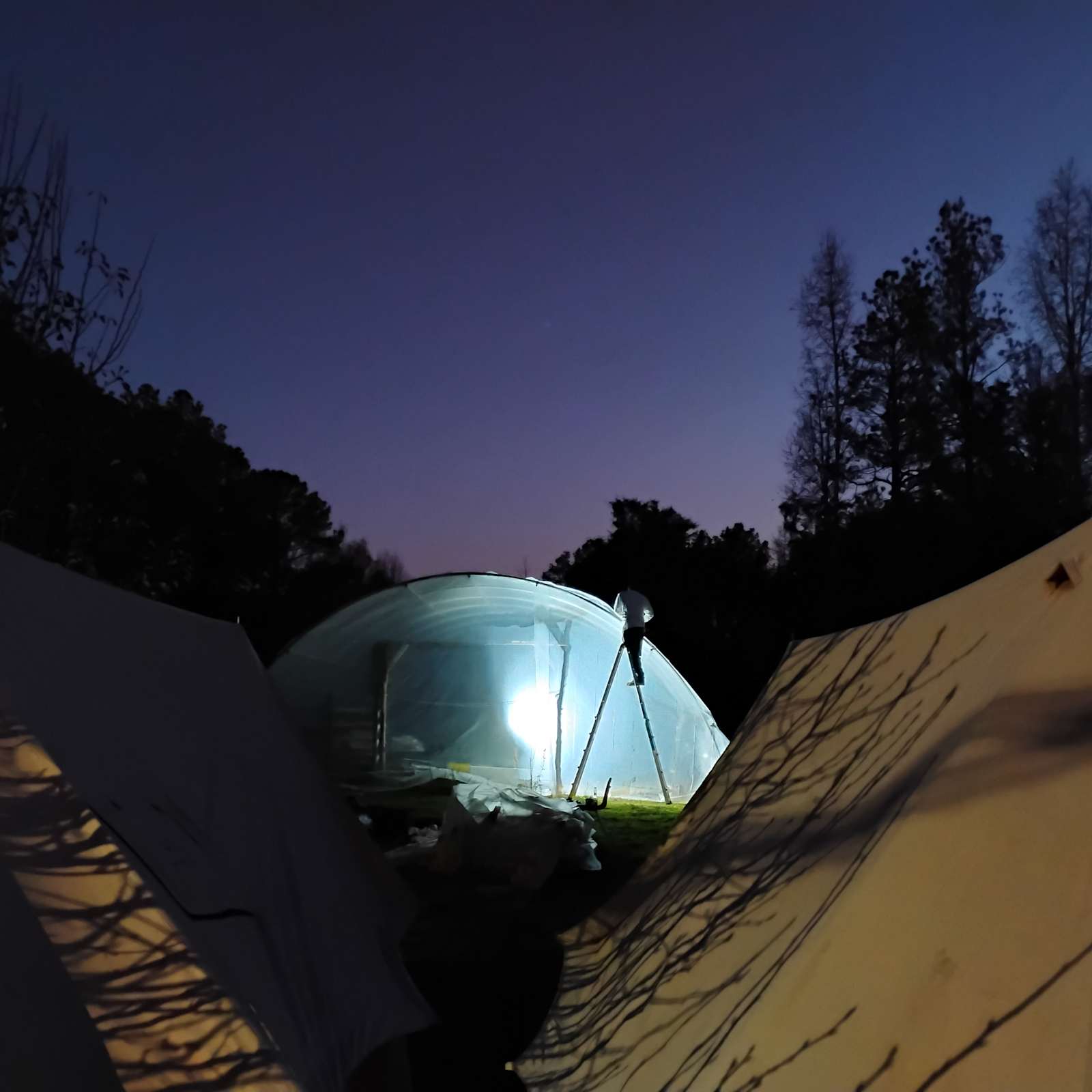 Solomon's Garden - Union, Alabama - glamping.directory