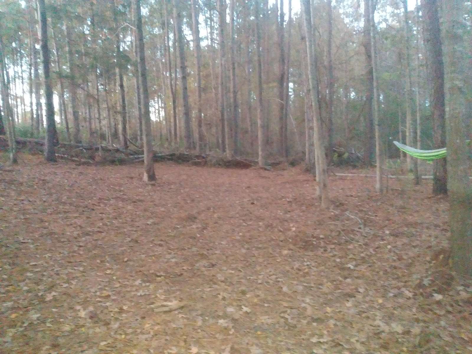 Solomon's Garden - Union, Alabama - glamping.directory