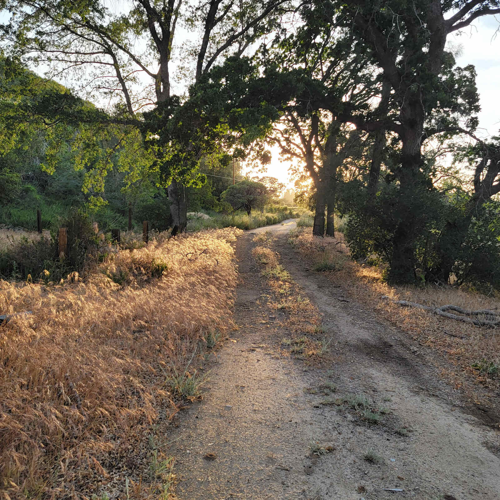 The Hideout - 100+ Acres Oak Trees - Lake Hughes, California - glamping.directory
