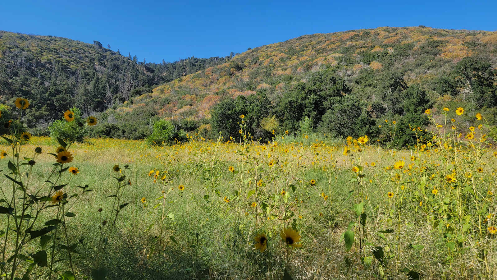 The Hideout - 100+ Acres Oak Trees - Lake Hughes, California - glamping.directory