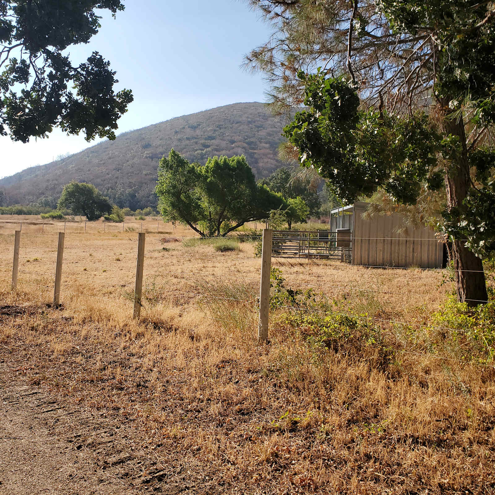 The Hideout - 100+ Acres Oak Trees - Lake Hughes, California - glamping.directory