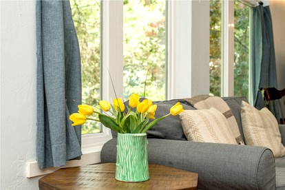 Quirky Pet-Friendly Cabin Rental Perfect for Glamping in Northern California - Guerneville, California - glamping.directory