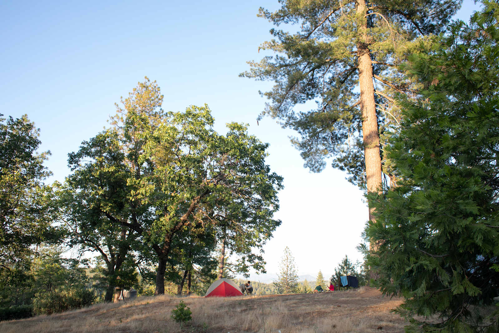 BaseCampByBo! - glamping.directory
