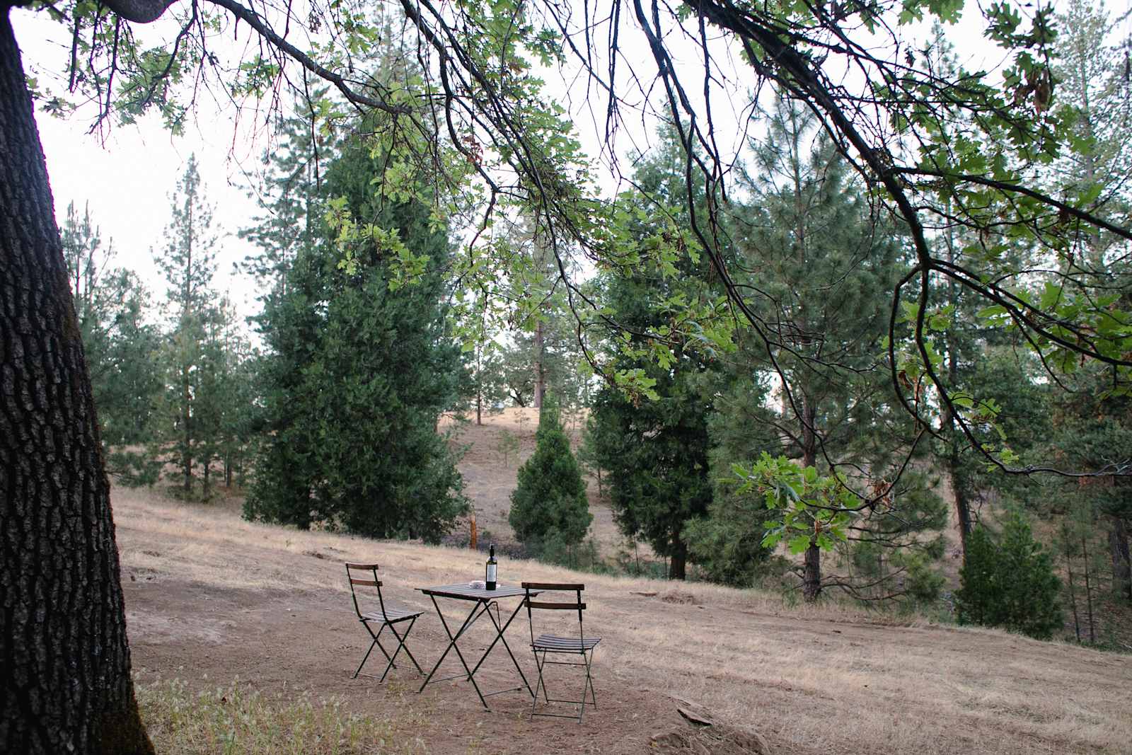 BaseCampByBo! - Groveland, California - glamping.directory