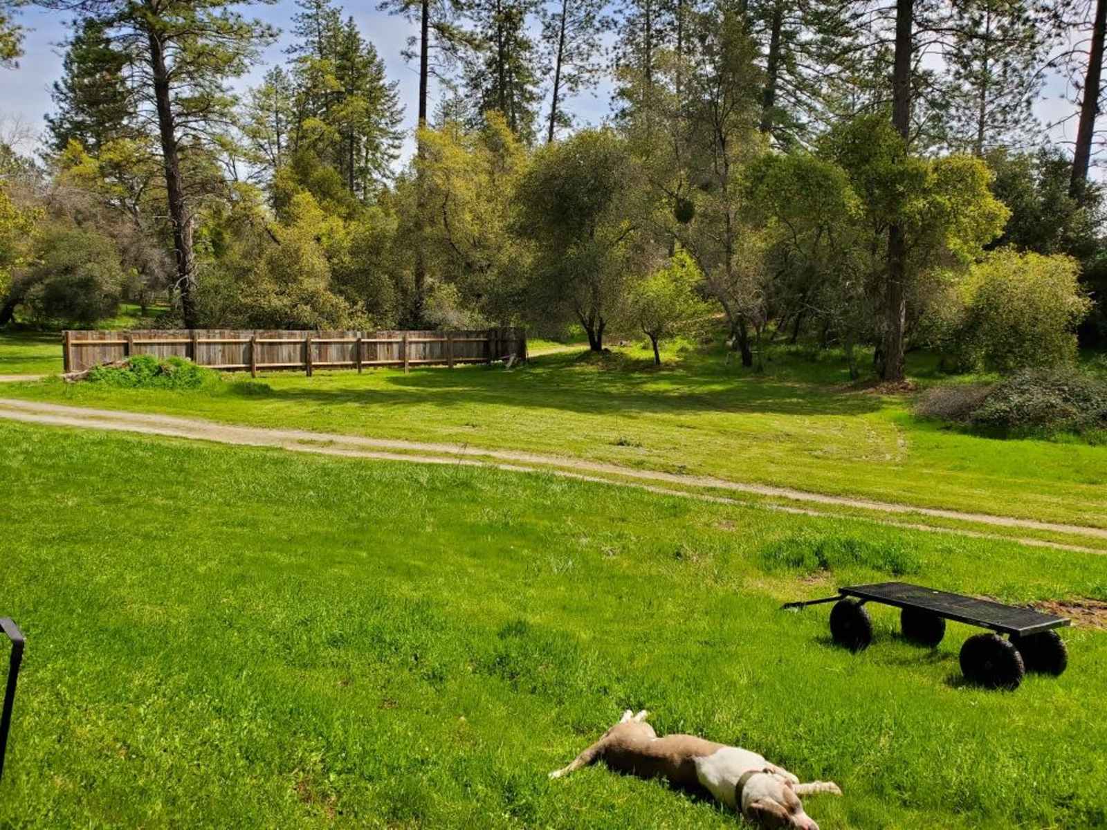 Historical Columbia Campground - glamping.directory