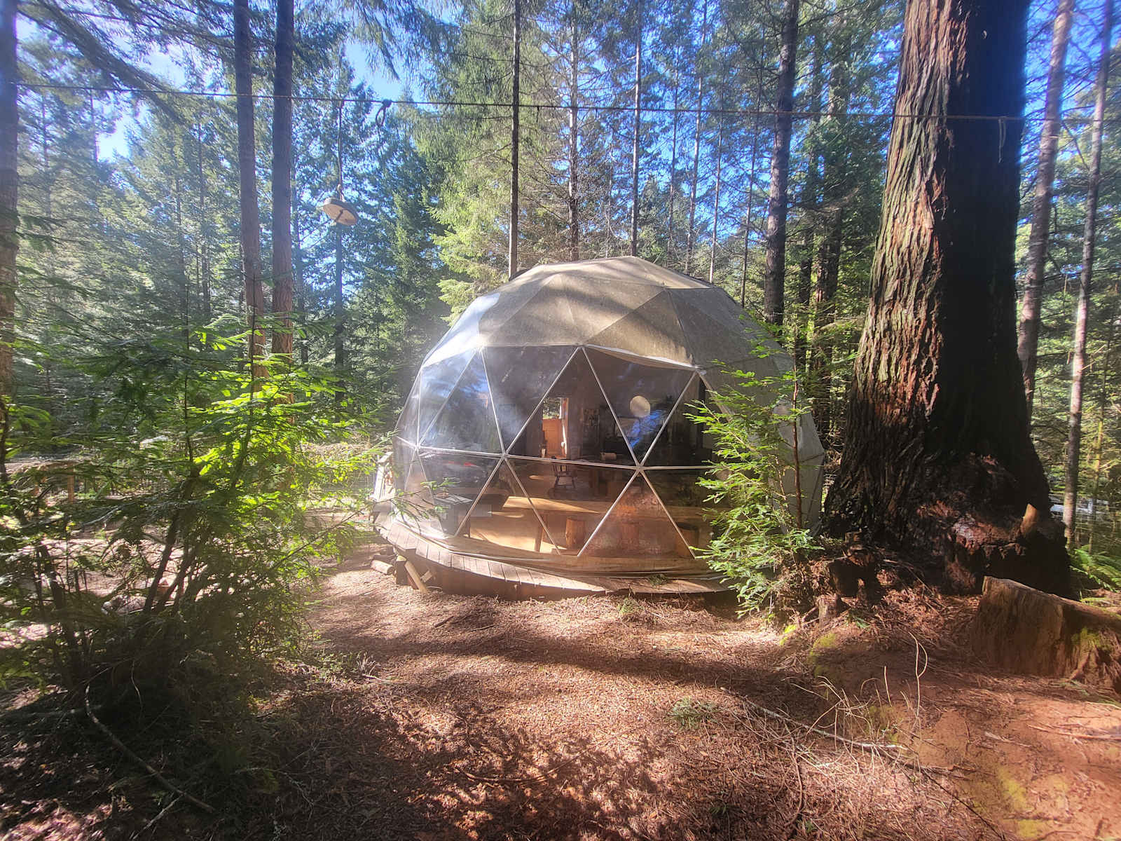 Fieldbrook Gnome Dome - glamping.directory