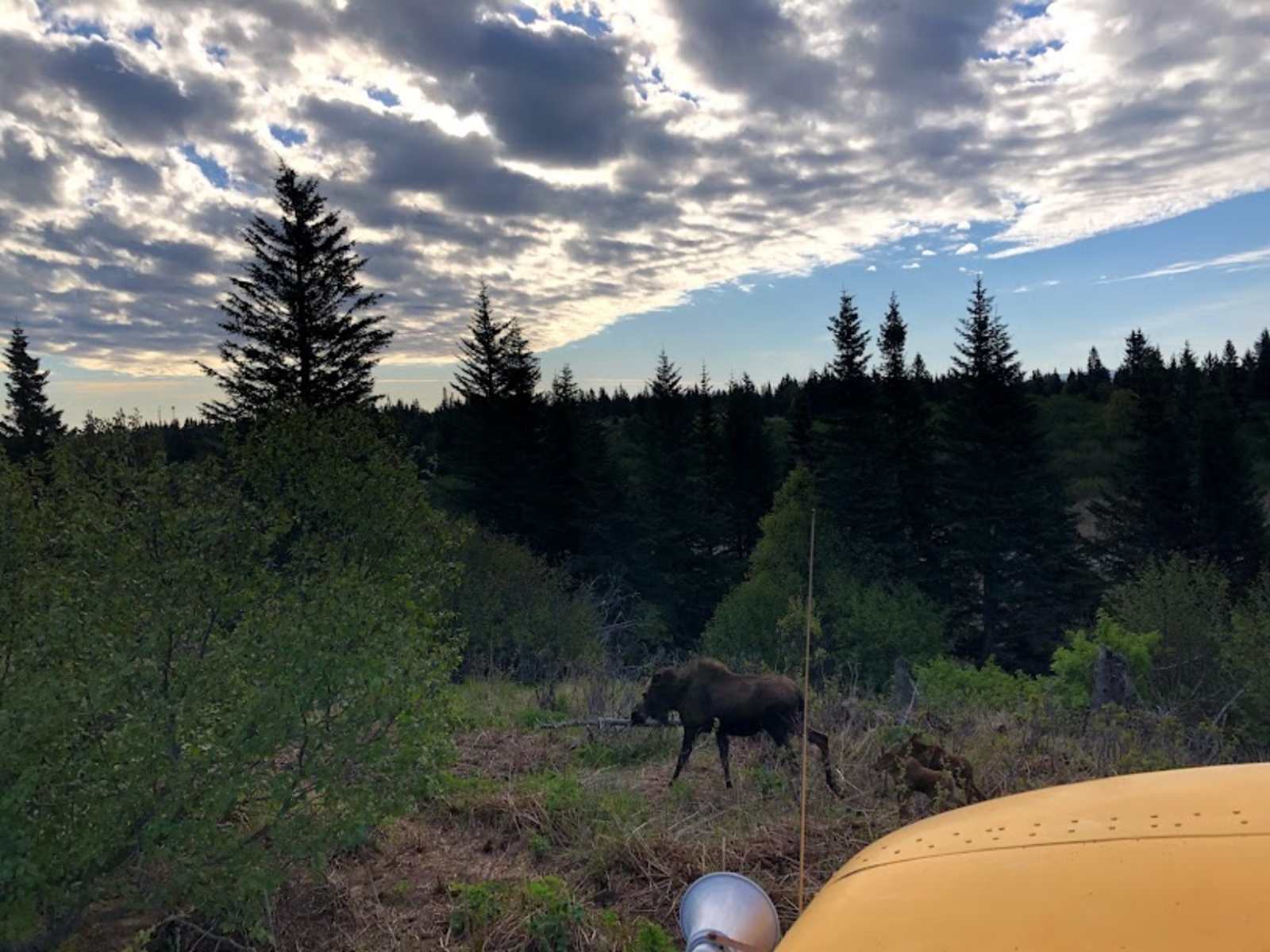Country Squire Farm - Ninilchik, Alaska - glamping.directory