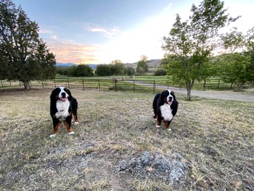 Incredible Peaceful Cottage with Barbecue in Whitehall, Montana - Whitehall, Montana - glamping.directory