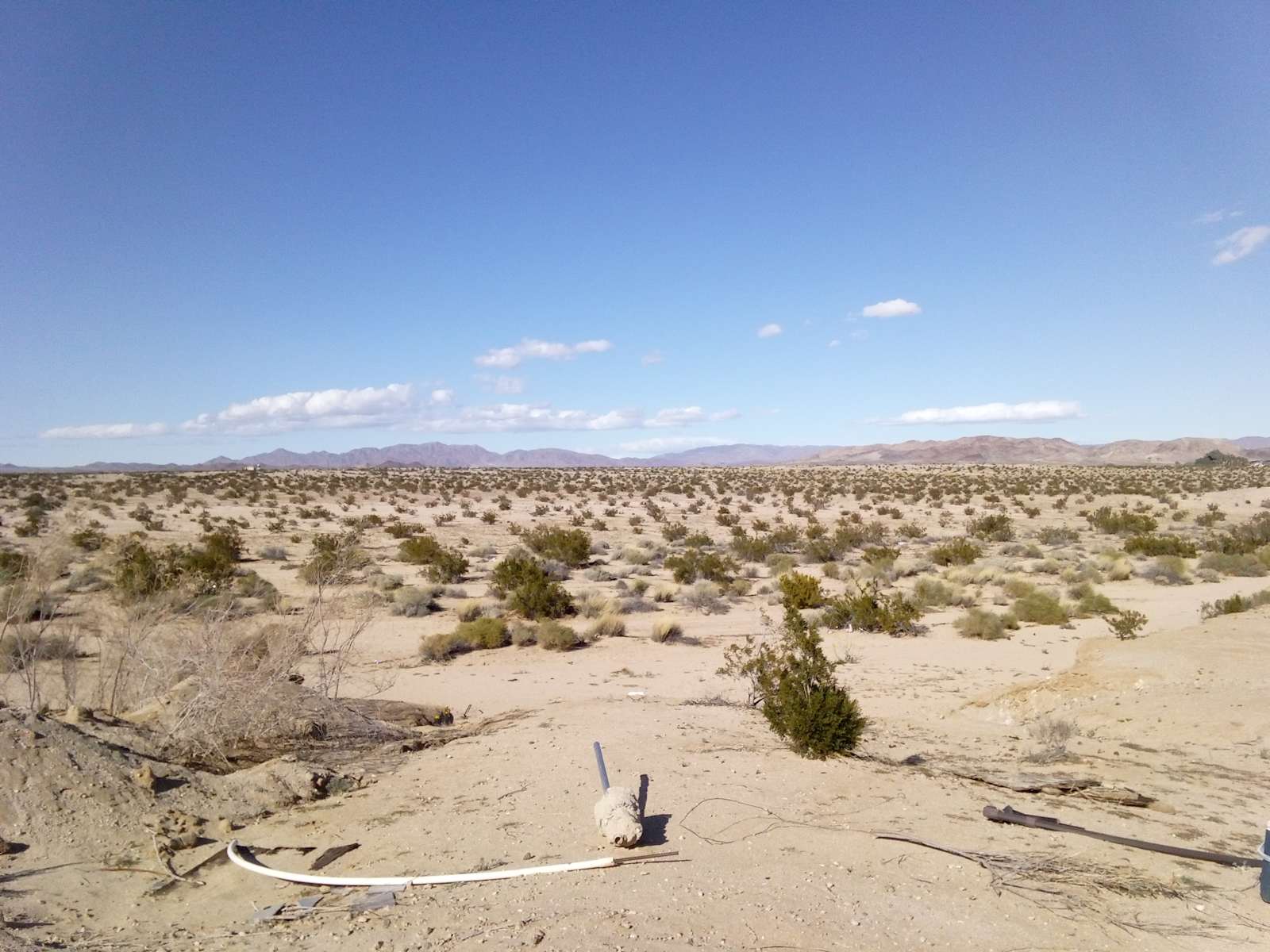 Another starry night in paradise - Twentynine Palms, California - glamping.directory