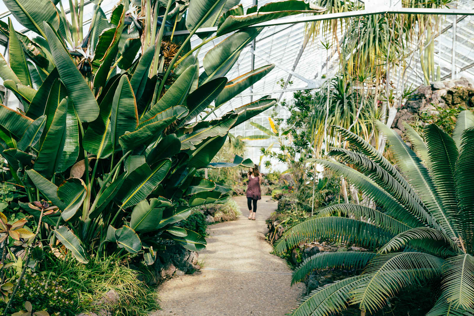Private Beach Farm - Goleta, California - glamping.directory