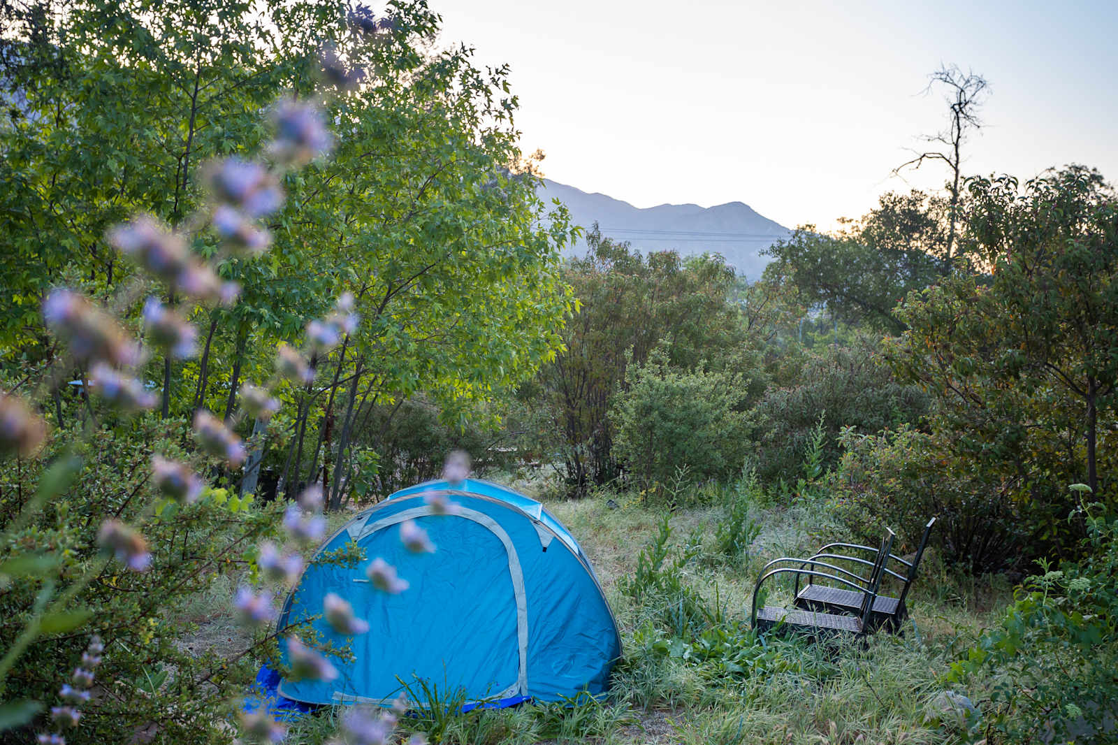 Rancho Los Encinos in Ojai CA - glamping.directory