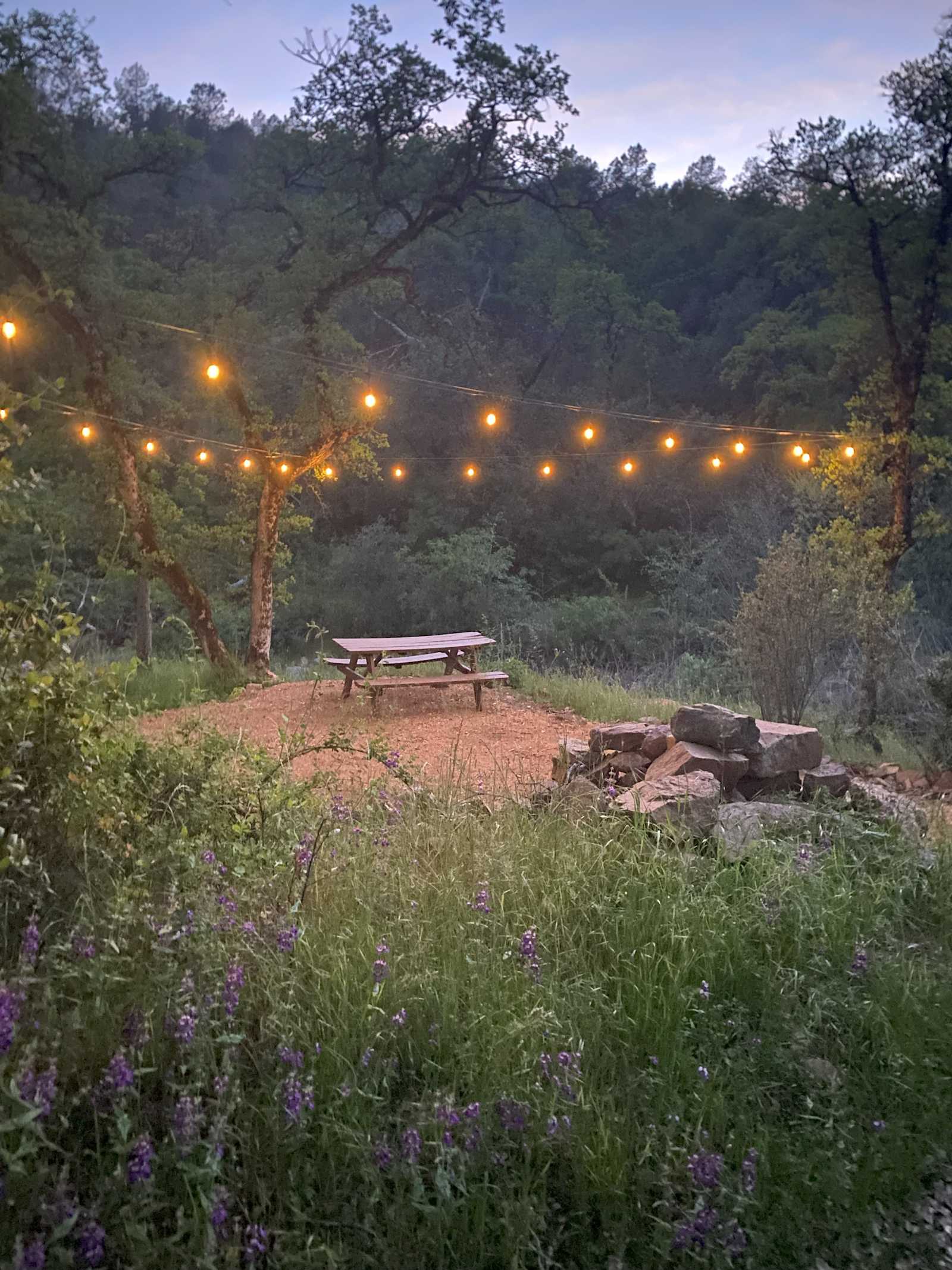 Red Dragonfly Ranch Yosemite - Groveland, California - glamping.directory