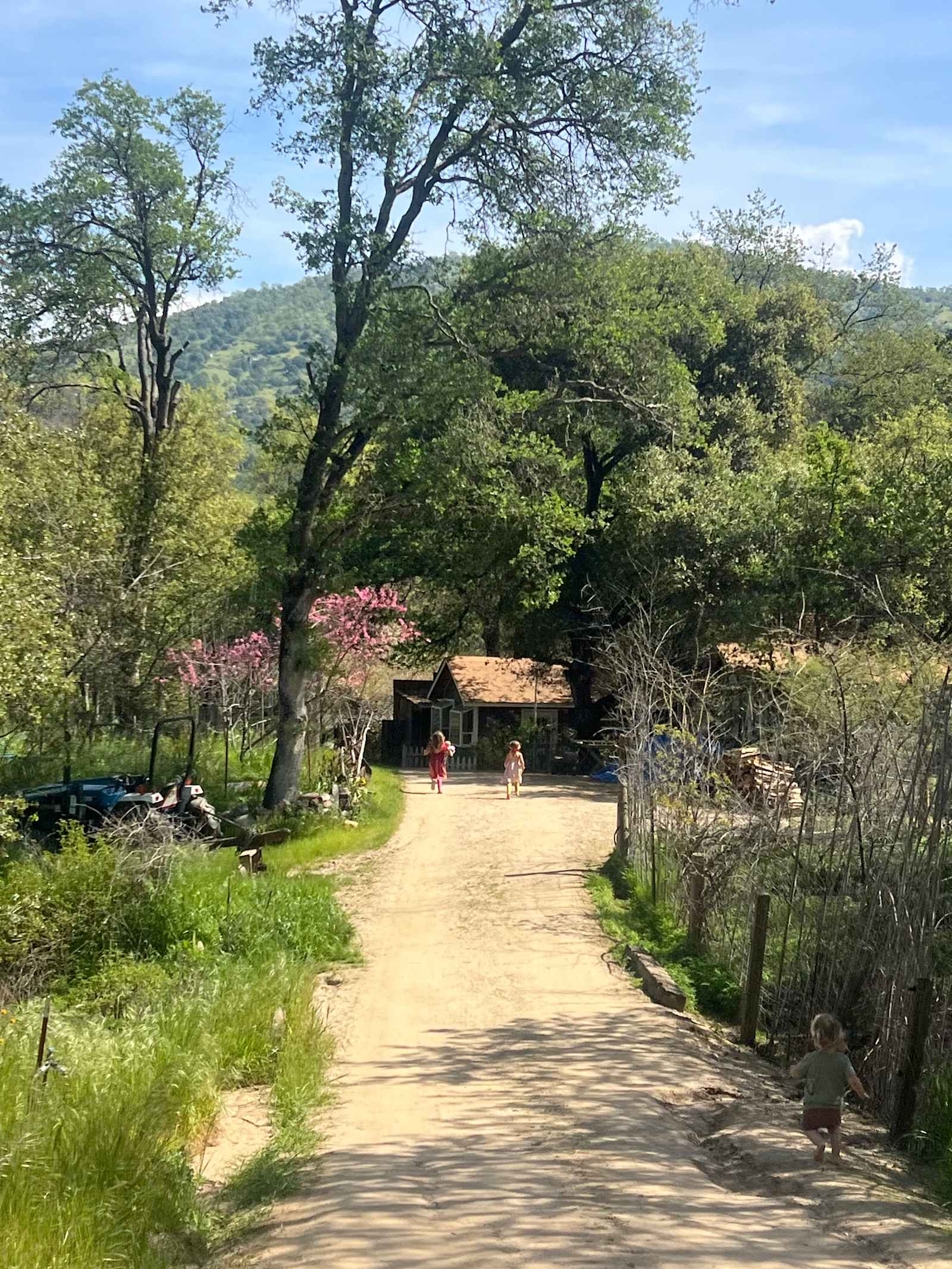 Three Rivers Nature Lodge Preserve - Three Rivers, California - glamping.directory