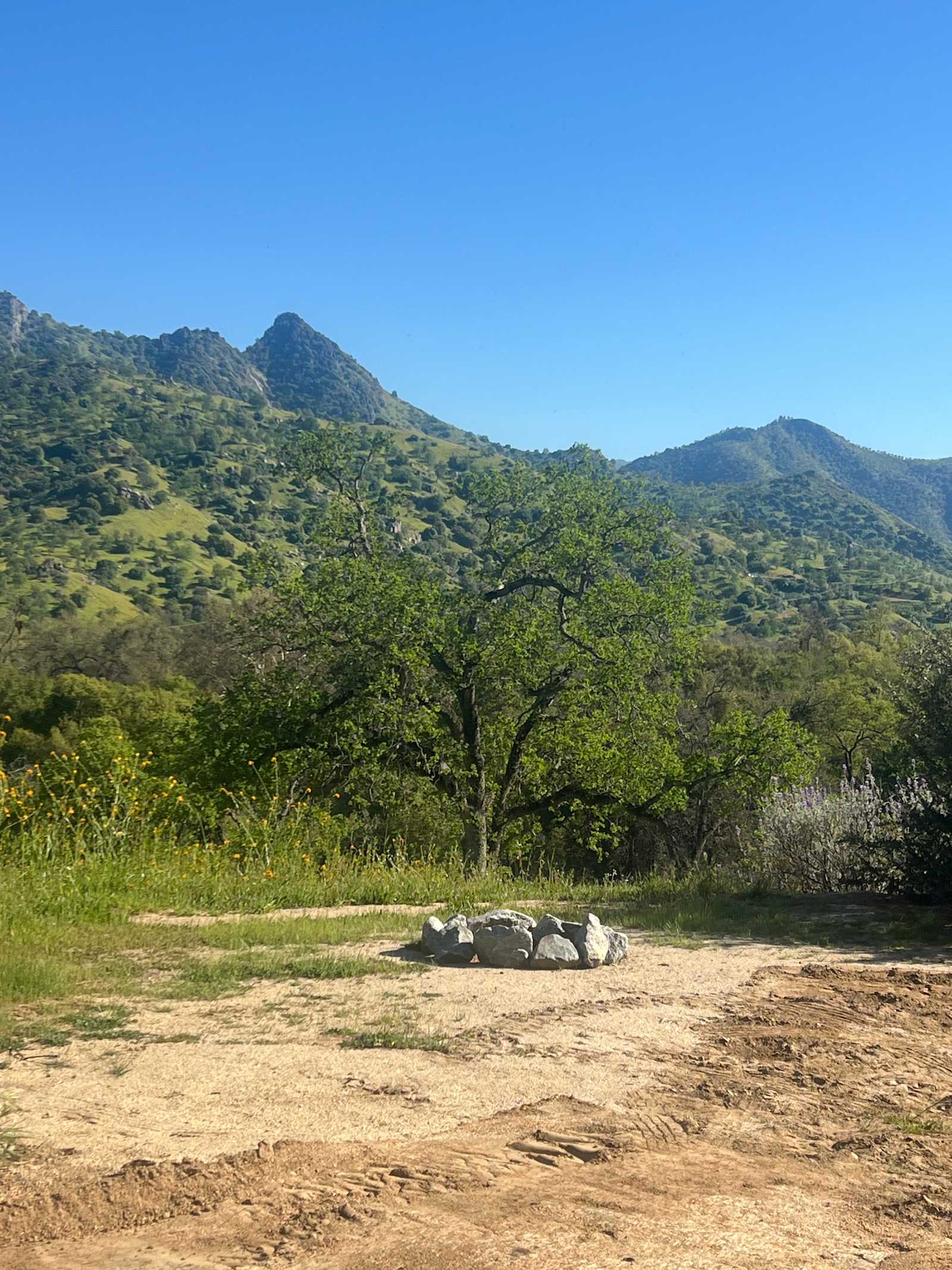 Three Rivers Nature Lodge Preserve - Three Rivers, California - glamping.directory