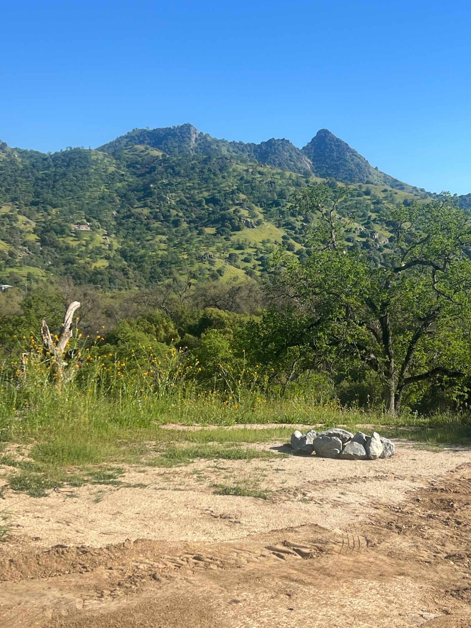 Three Rivers Nature Lodge Preserve - Three Rivers, California - glamping.directory