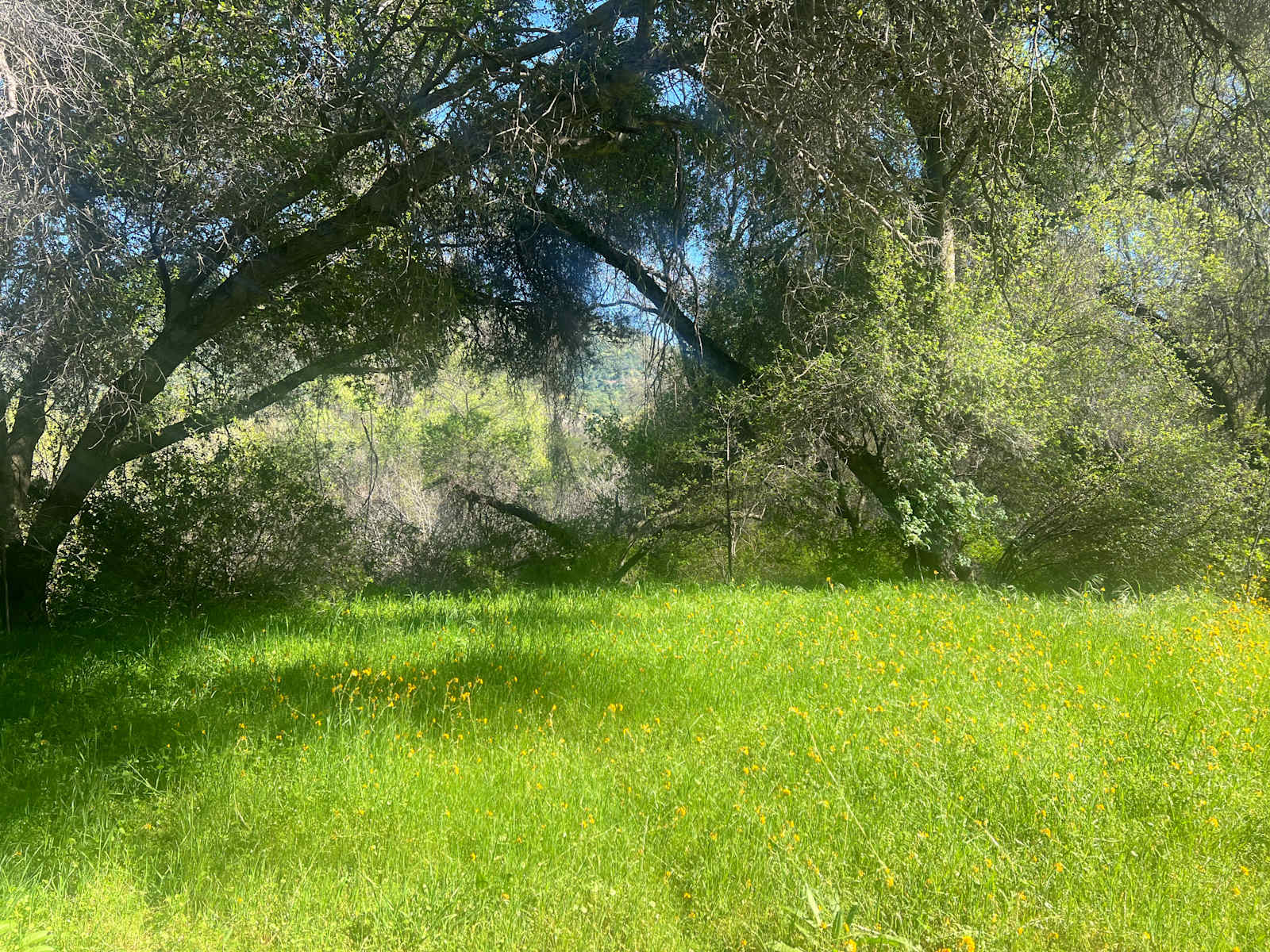 Three Rivers Nature Lodge Preserve - Three Rivers, California - glamping.directory