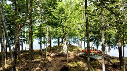 Wooden Lake Cabin Loaded with Kayaks in Maine - Greenville, Maine - glamping.directory