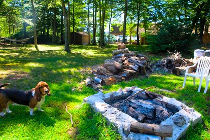 Five Cabins for a Group Getaway on an Island near Salmon River State Forest, Connecticut - East Hampton, Connecticut - glamping.directory
