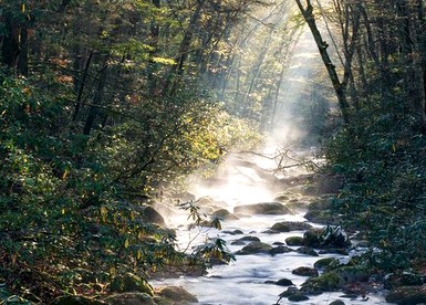 Charming Mountain Cabin near Ski and Golf Resorts, Pennsylvania - Somerset, Pennsylvania - glamping.directory